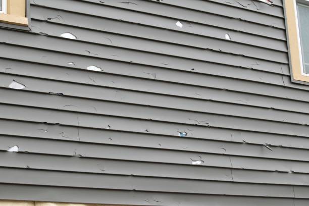 Trusted Bismarck, ND Siding Experts